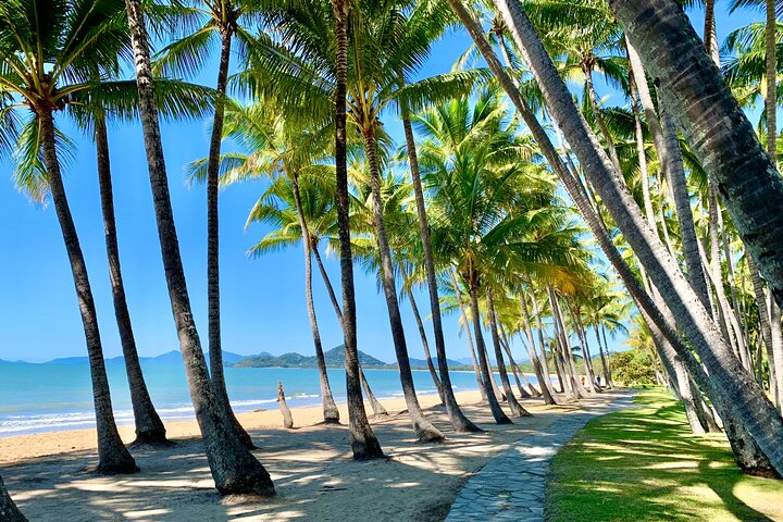 Cairns Airport Private Transfer - Palm Cove