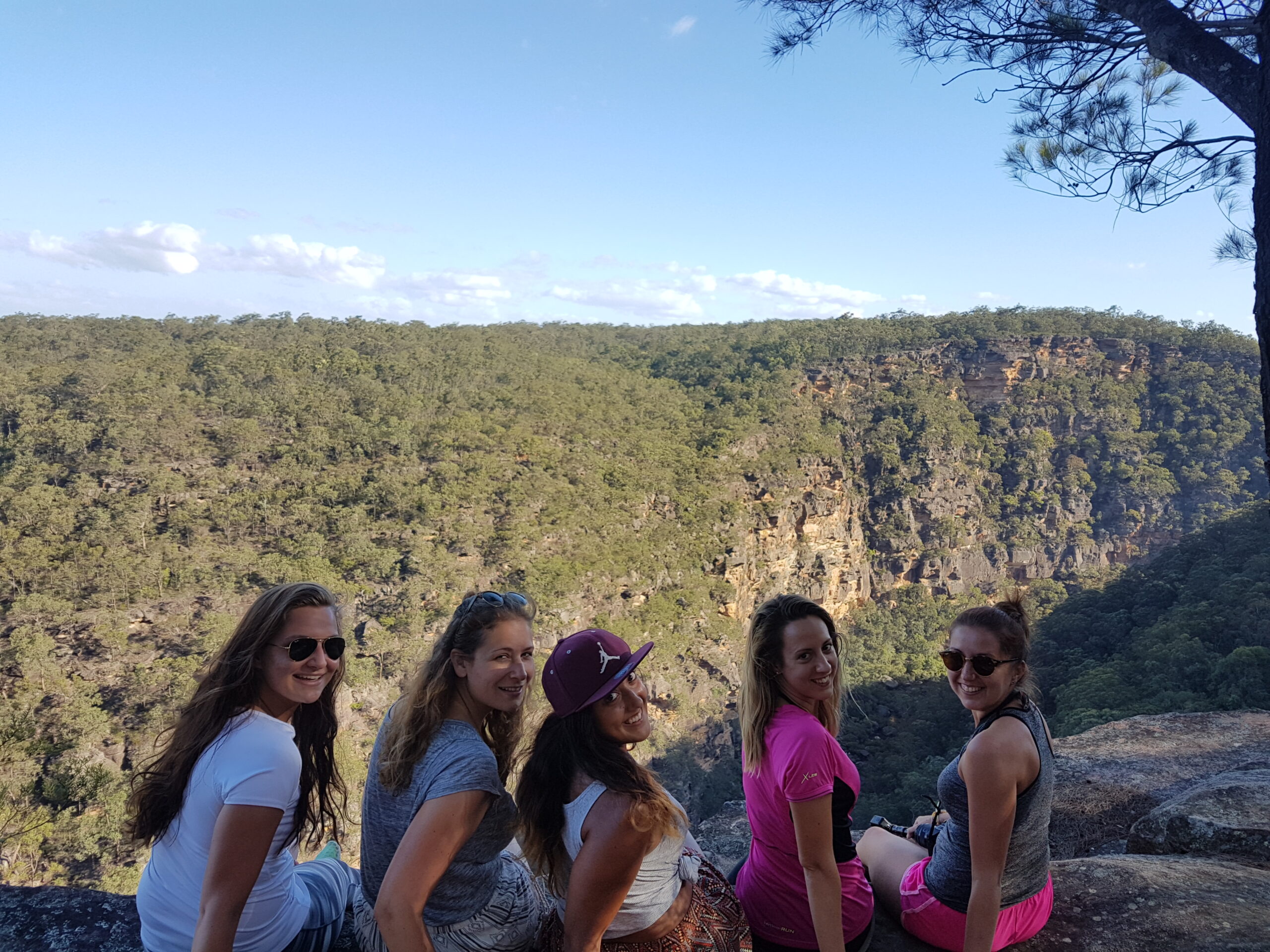 Blue Mountains Full Day Adventure | BBQ lunch | Wild Kangaroos | Waterfalls | Social