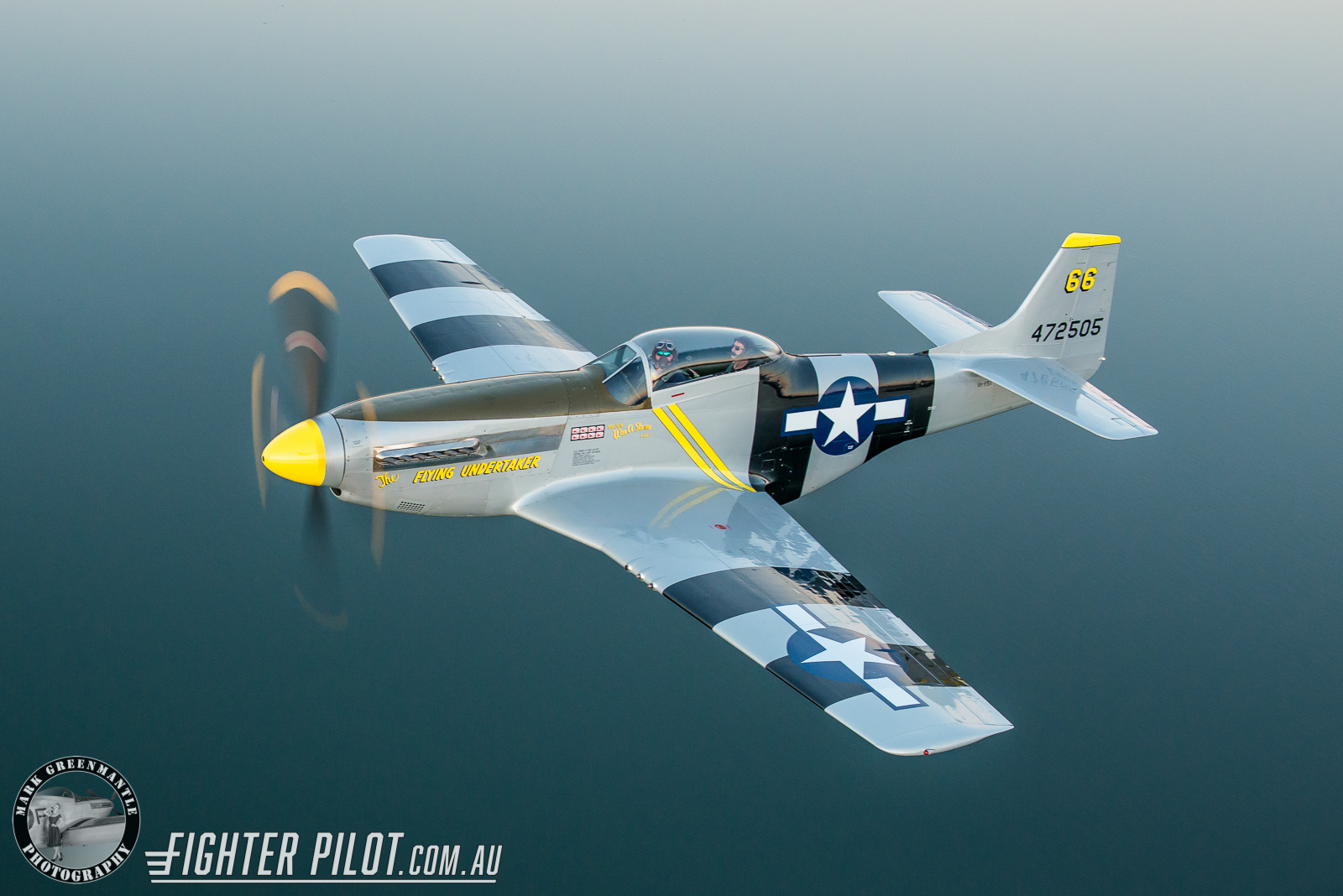 P-51 Mustang Platinum