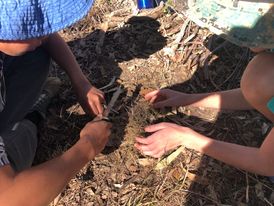 Wilderness Survival & Emergency Prepardness   -  DAY COURSE