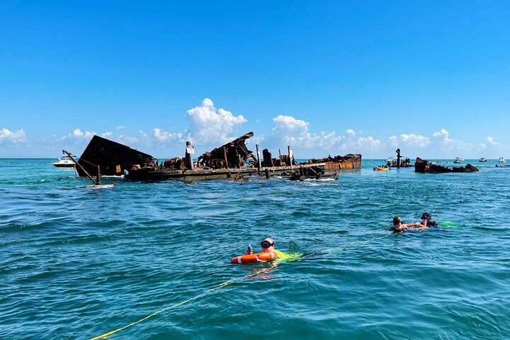 Best of Moreton Bay Cruise