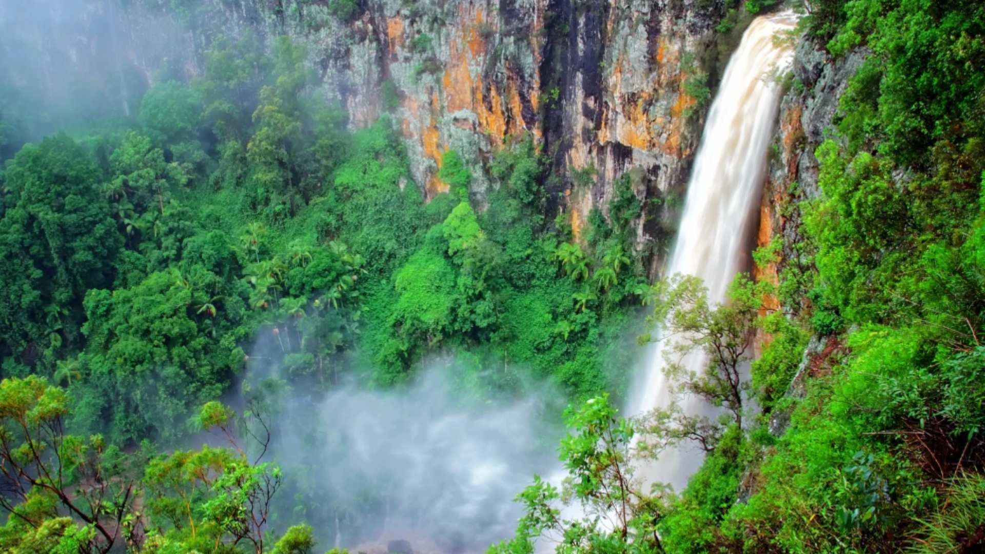 Natural Bridge & Springbrook Waterfalls Tour