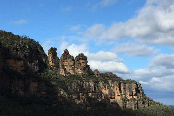 Private Blue Mountains Tour with Kangaroo and Koala Experience