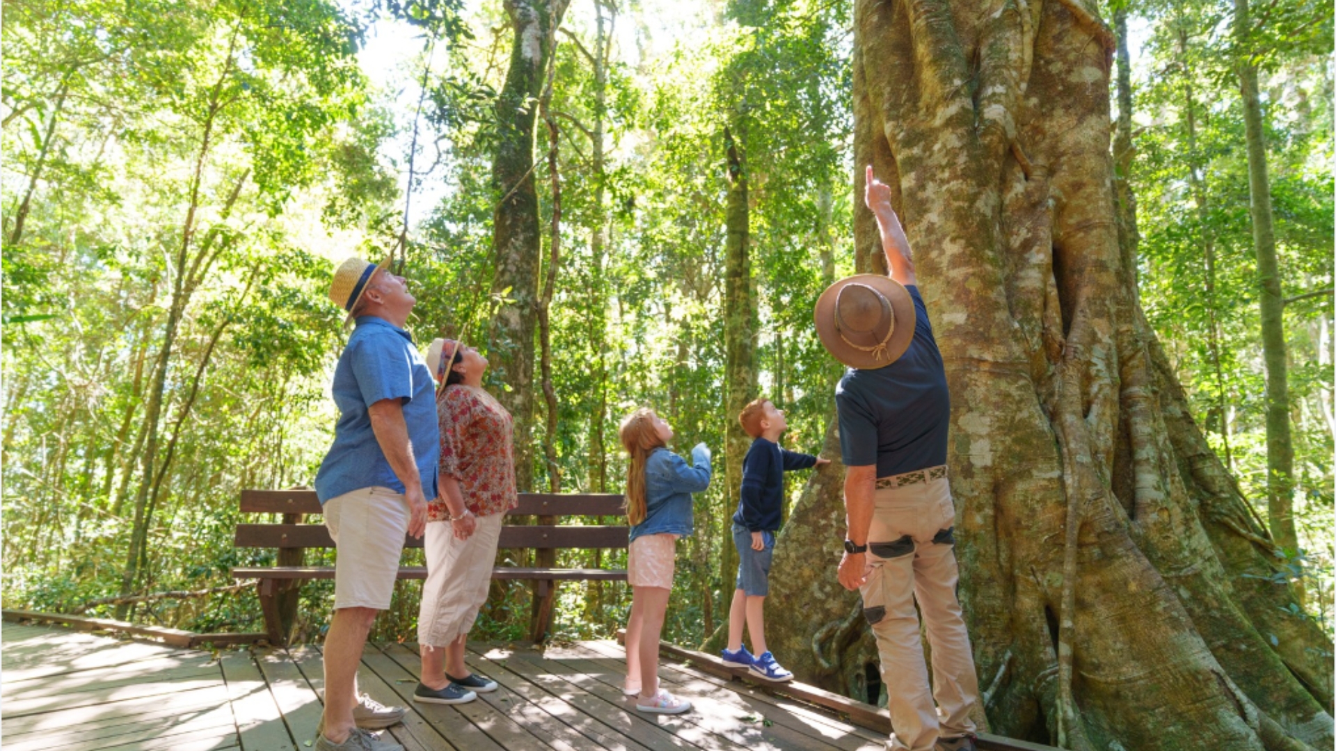 Lamington National Park, O'Reilly's & Vineyard Tour