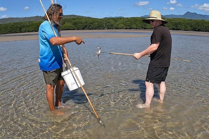 Best of Moreton Bay Cruise