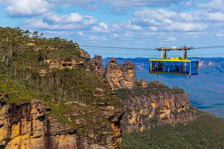 Private Blue Mountains City Views & Kangaroos Tour