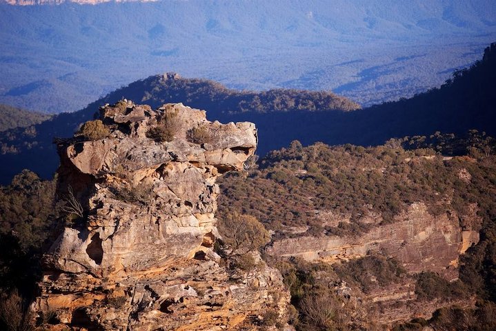 Private Blue Mountains City Views & Kangaroos Tour