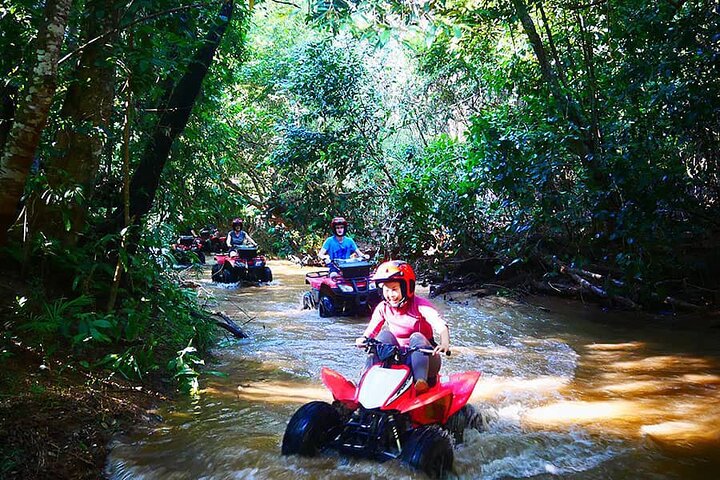 1 Hour Rainforest Quad Bike Tour in Kuranda