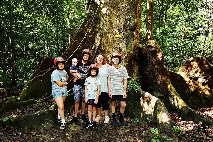 1 Hour Rainforest Quad Bike Tour in Kuranda