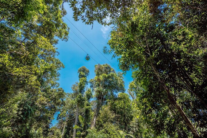 Kuranda, Scenic Rail and Skyrail Tour in Queensland