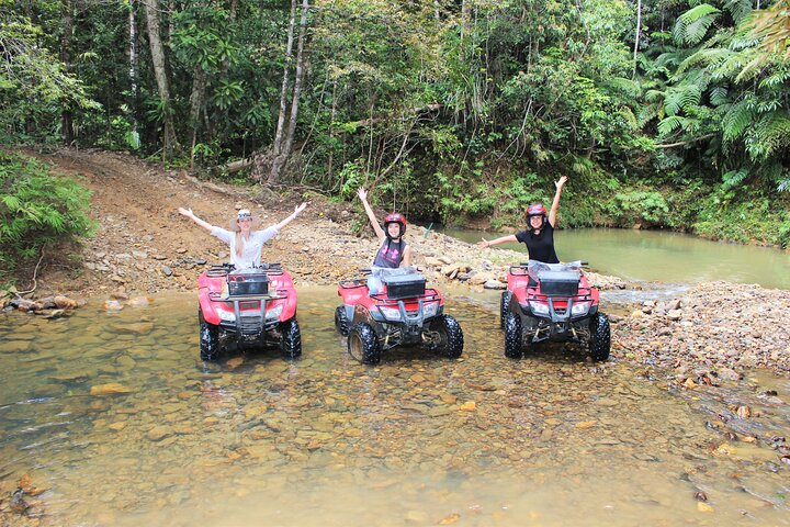 1 Hour Rainforest Quad Bike Tour in Kuranda