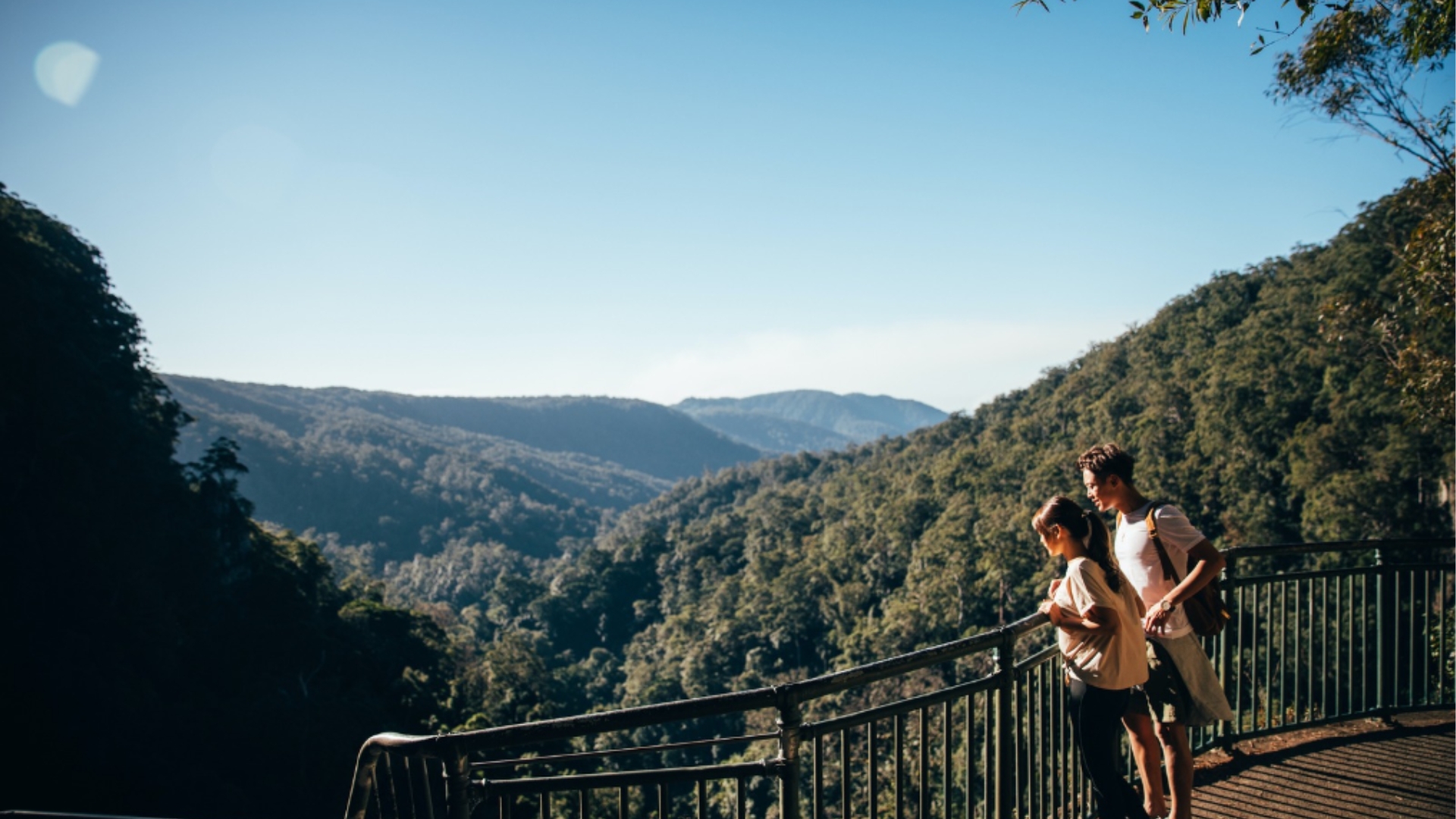 Natural Bridge & Springbrook Waterfalls Tour