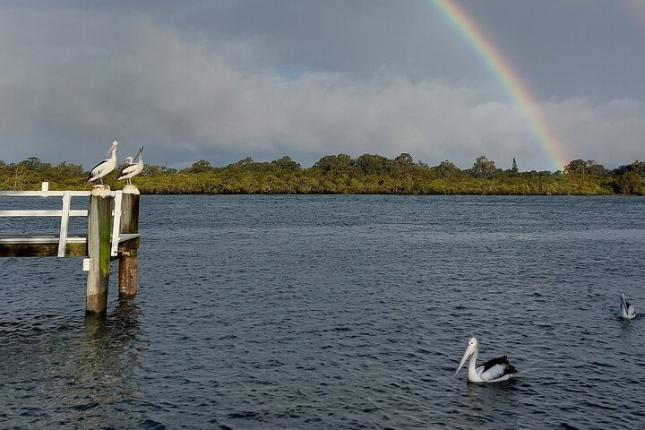 Fisherman's Friend Morning Tea Cruise