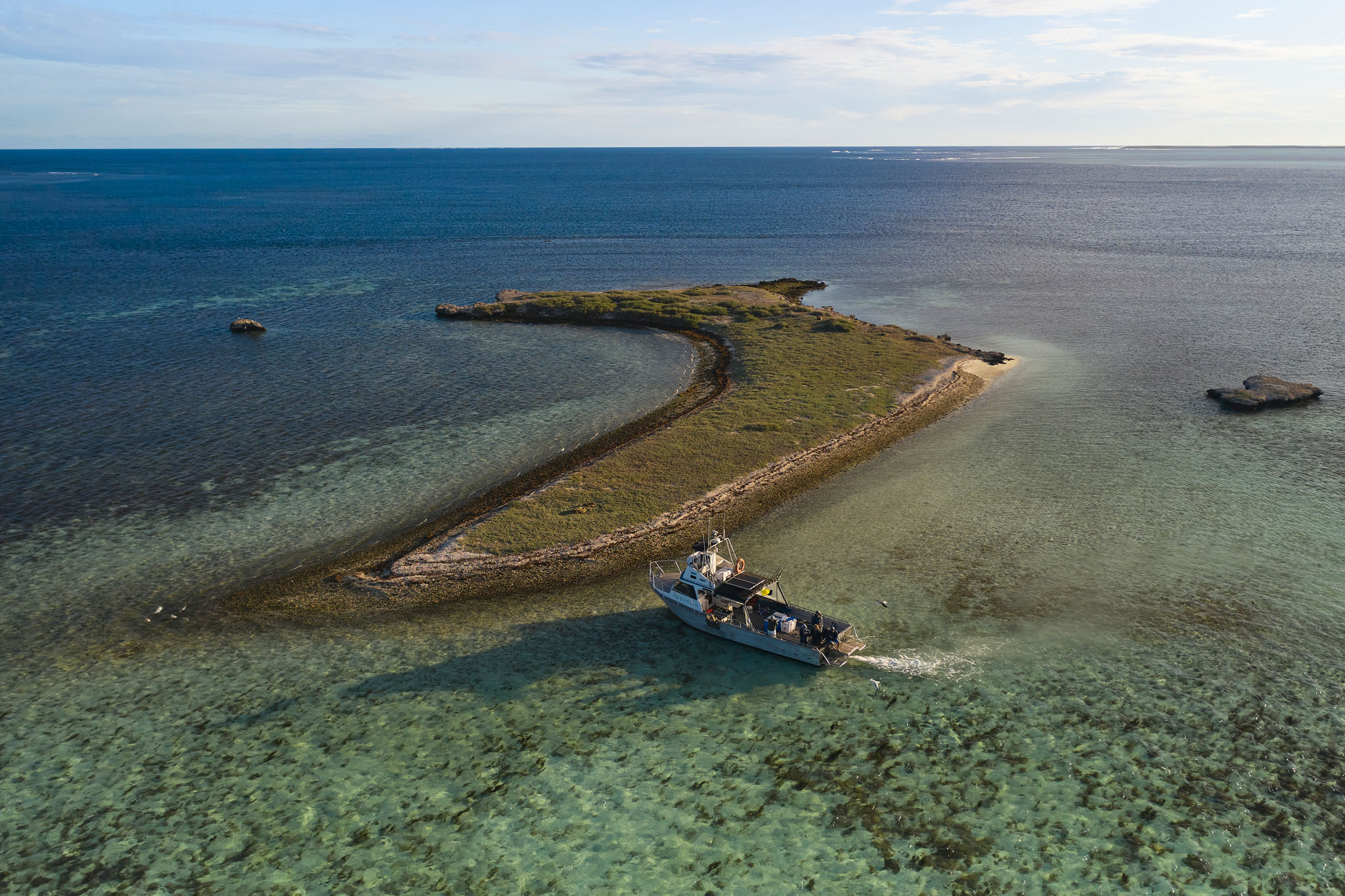 'The Abrolhos Sea Shack' 4 Day Liveaboard Charter (Ex. Geraldton)