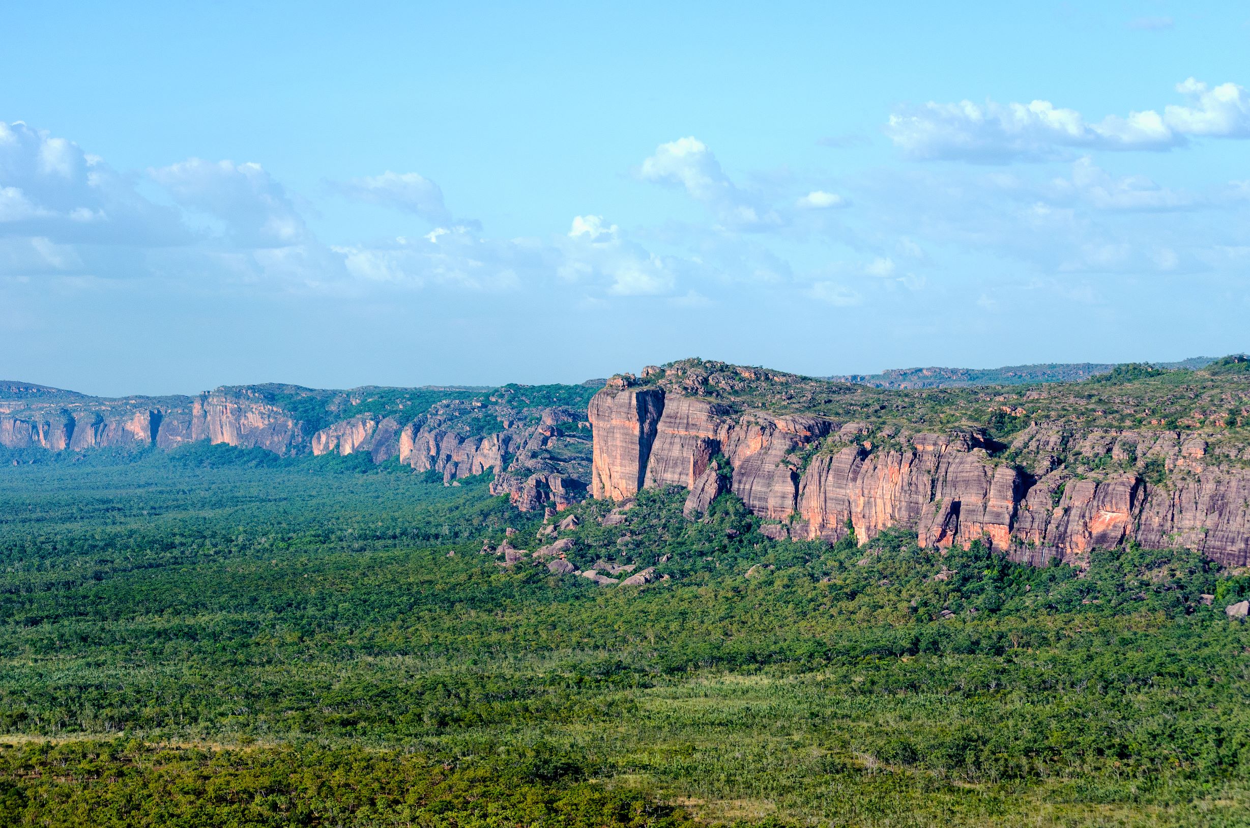 Jabiru 60 Minute Scenic Tour