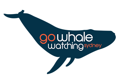 Whale Eco Tour