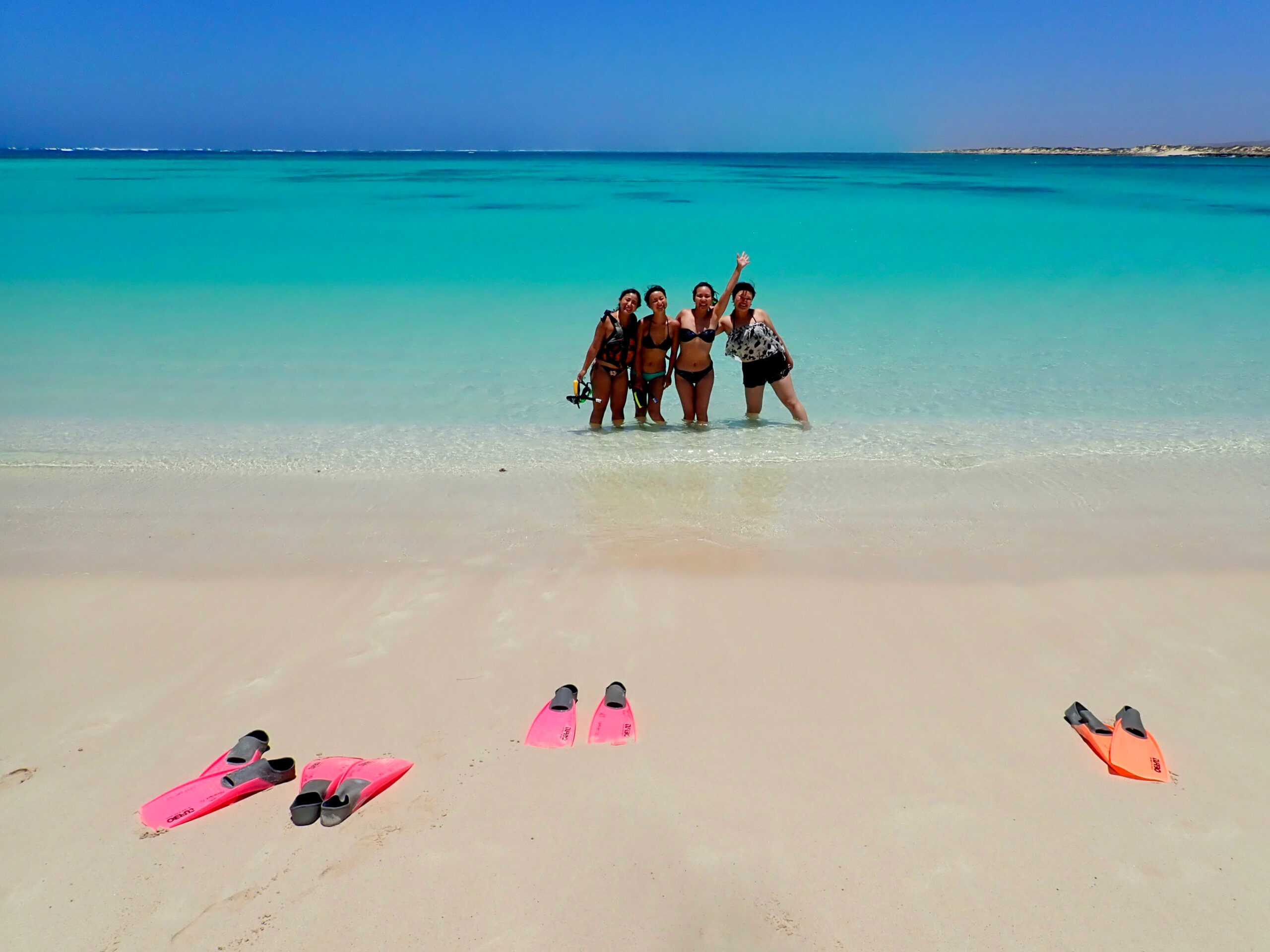 Ningaloo In A Day