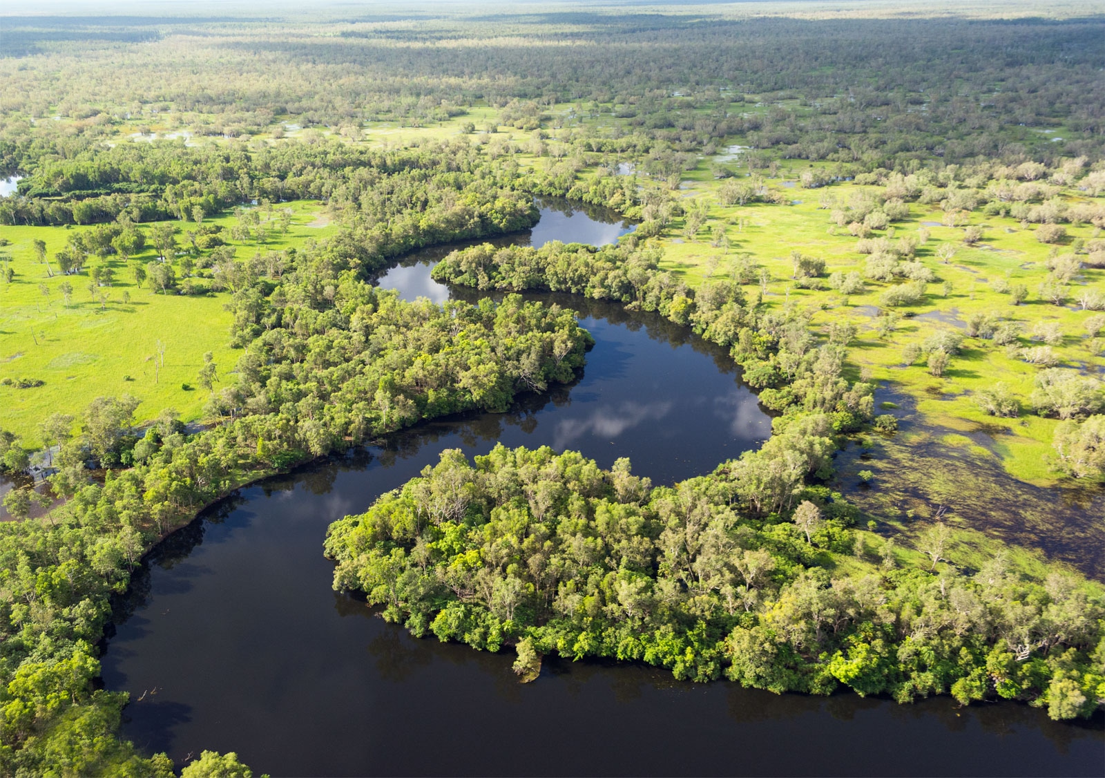 Kakadu in a Day