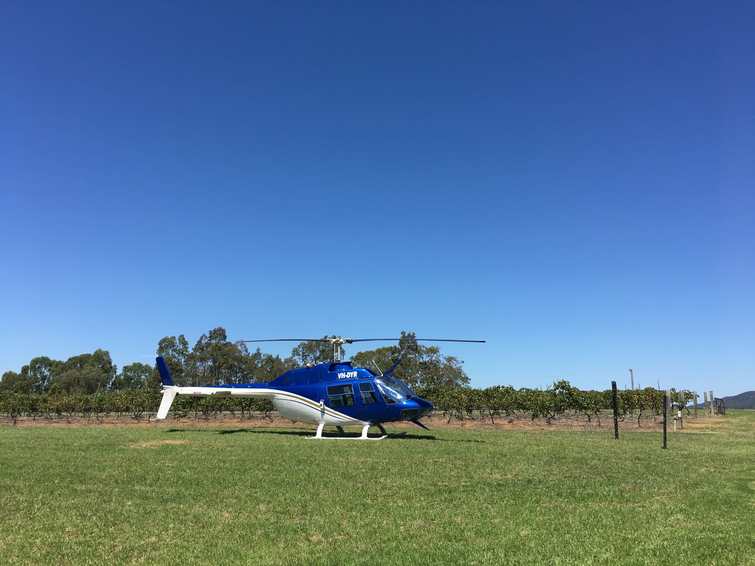 Margan Estate Helicopter Wine & Lunch Tour