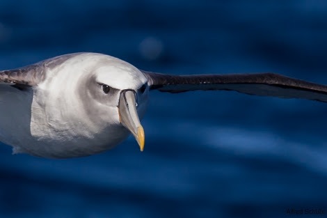 1.5 hour Wildlife Adventure Cruise