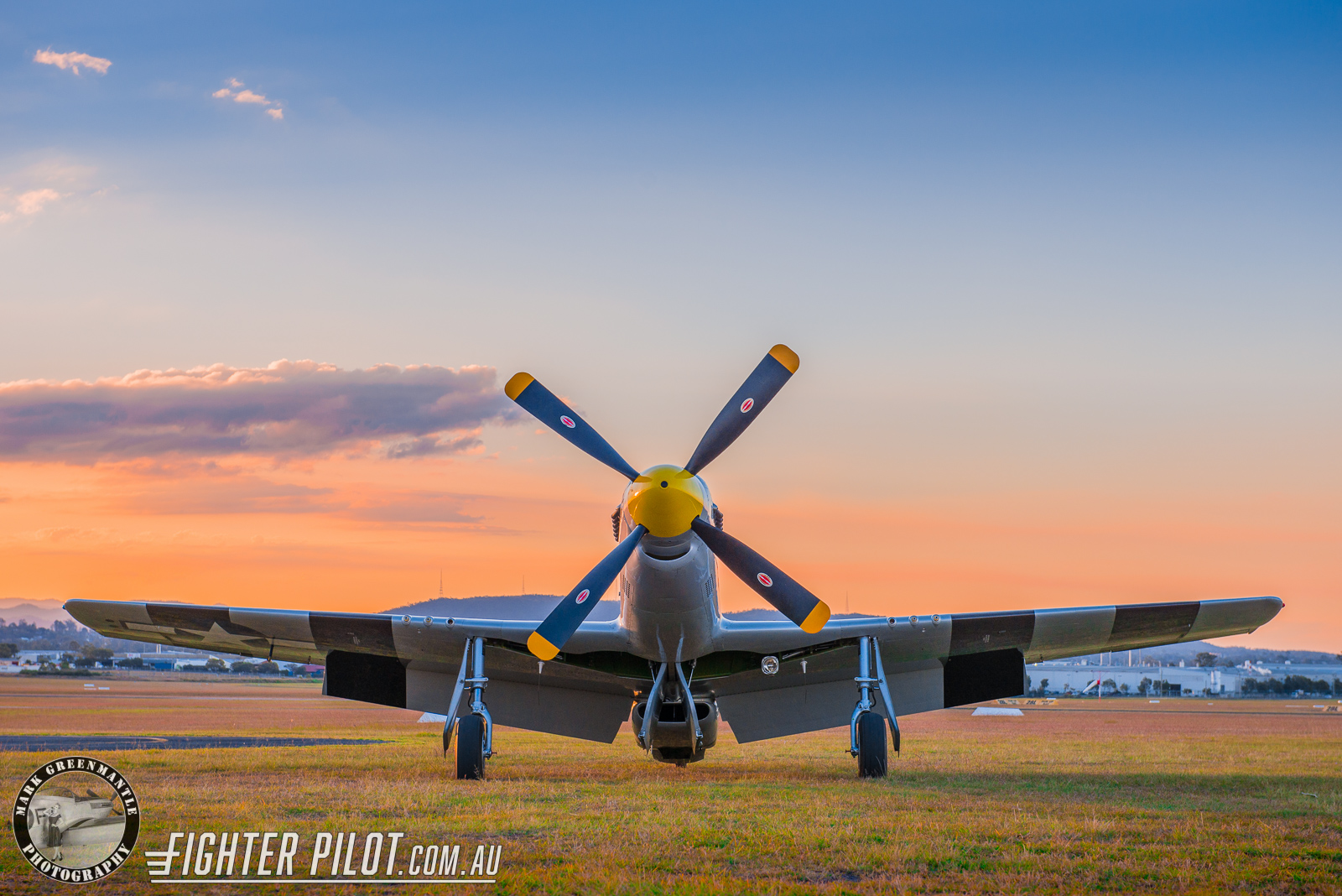 P-51 Mustang Platinum