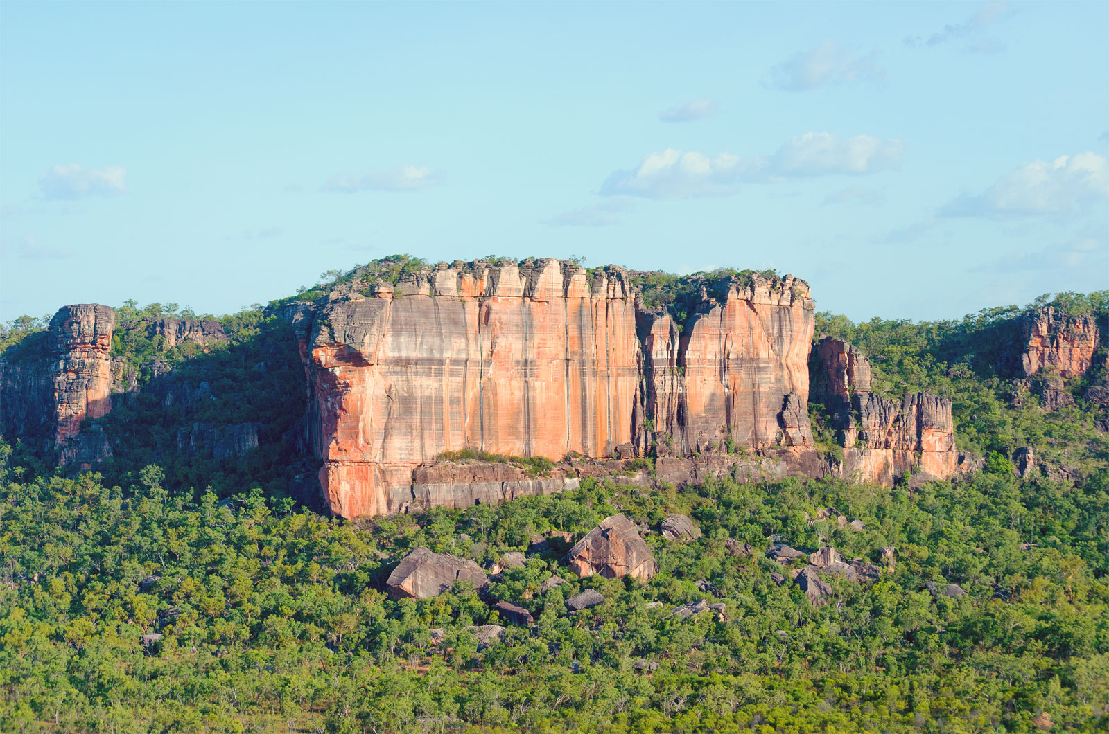 Kakadu in a Day