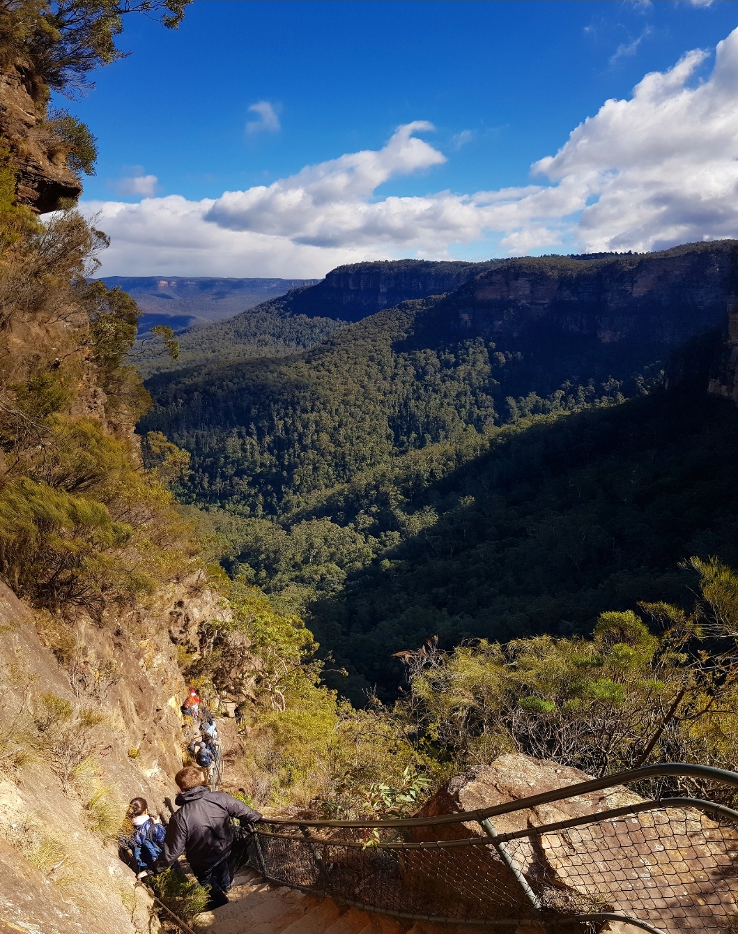 Blue Mountains Full Day Adventure | social lunch | Wild Kangaroos | Waterfalls | Social