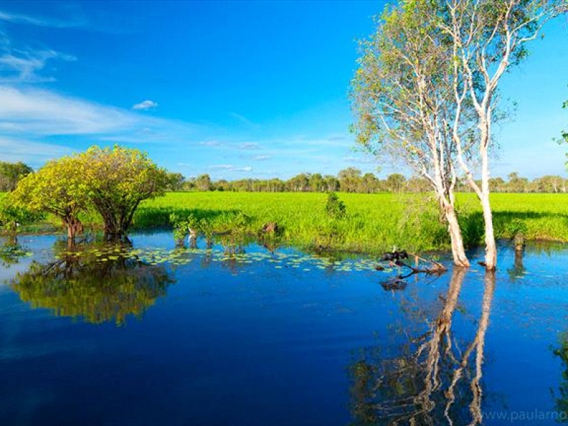 Kakadu in a Day