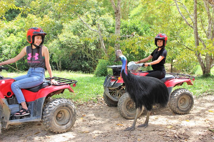 1 Hour Rainforest Quad Bike Tour in Kuranda