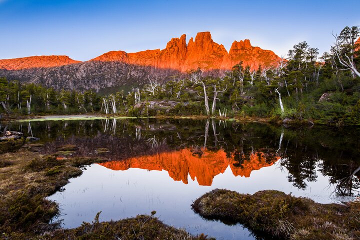 Private One-way Transfer from Devonport to Cradle Mountain