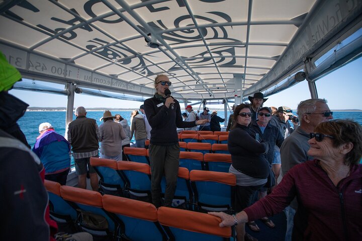 Hervey Bay Ultimate Whale Watching Cruise