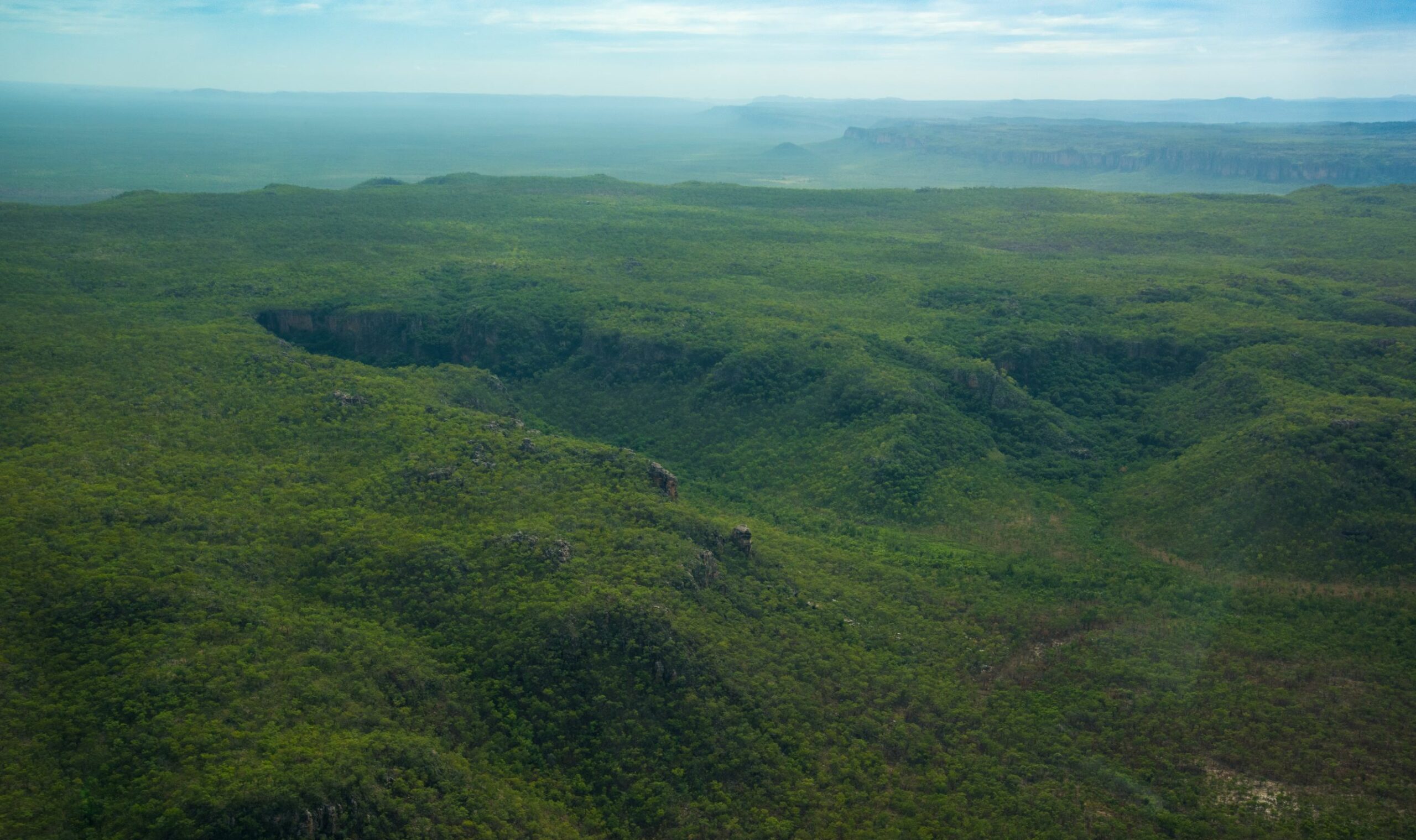 Jabiru 60 Minute Scenic Tour