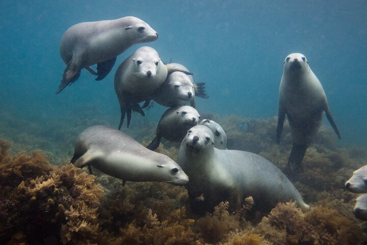 Ningaloo in a Day - Full Day Hike and Snorkel Tour with Lunch