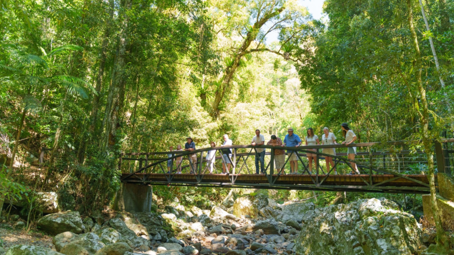 Natural Bridge & Springbrook Waterfalls Tour