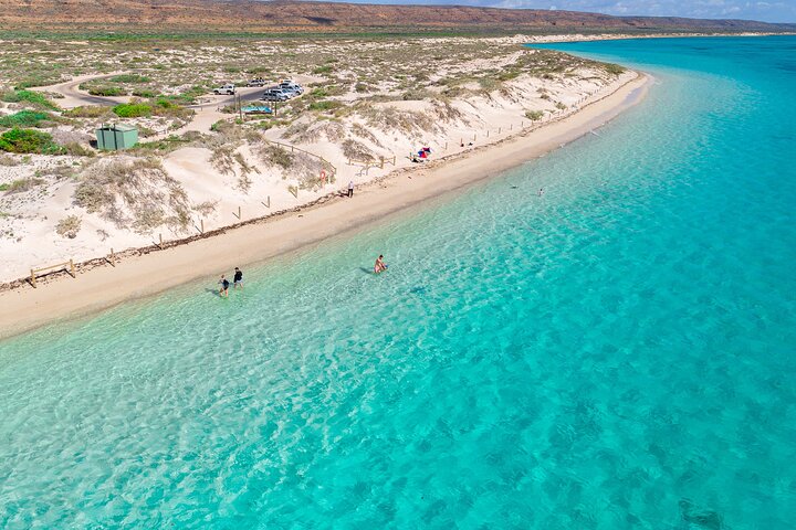 Ningaloo in a Day – Full Day Hike and Snorkel Tour with Lunch