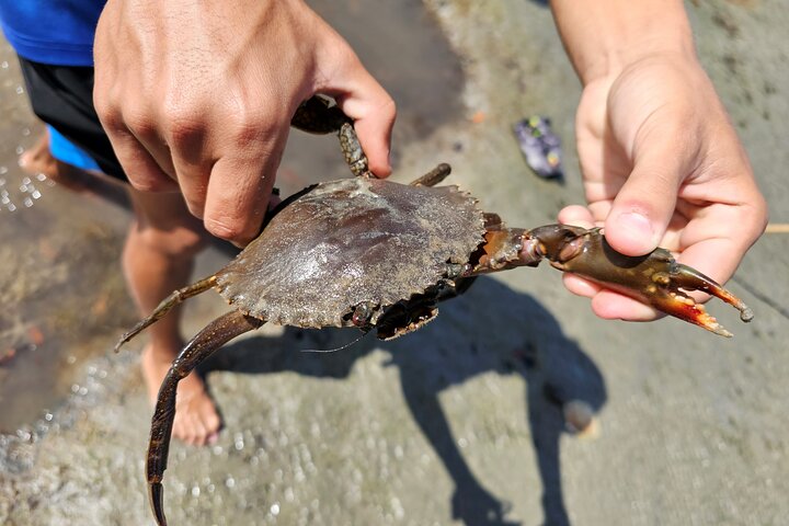 Aboriginal Fishing & Beach Day Tour+ Daintree Crocodile Cruise