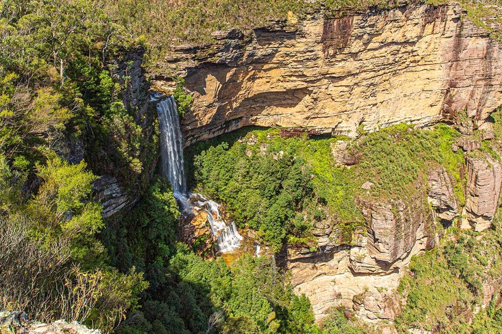 Private Blue Mountains City Views & Kangaroos Tour