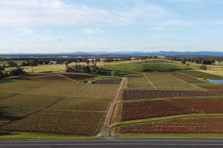 Tyrrell's Vat 1 Vertical Wine Tasting in Pokolbin, NSW