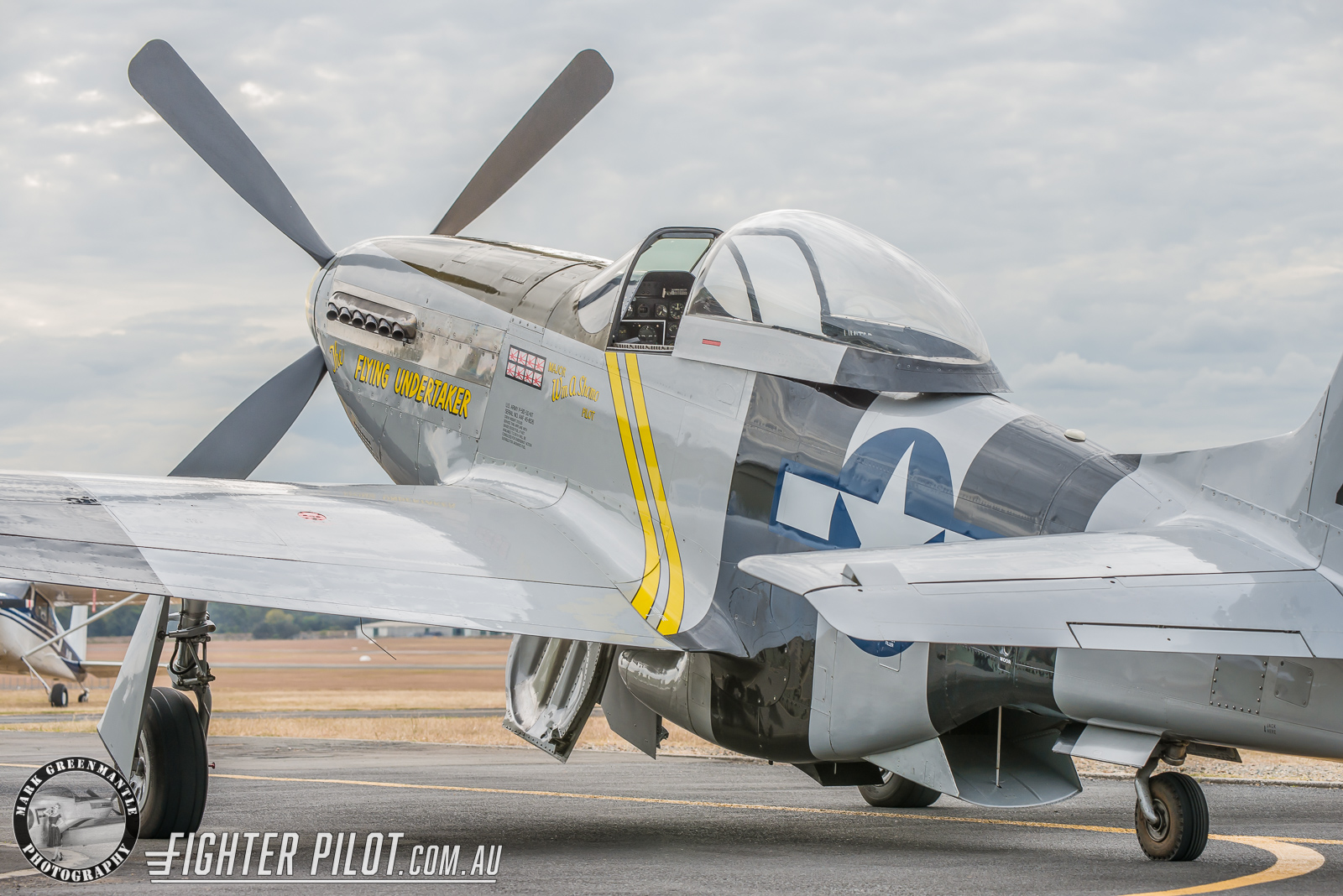 P-51 Mustang Platinum