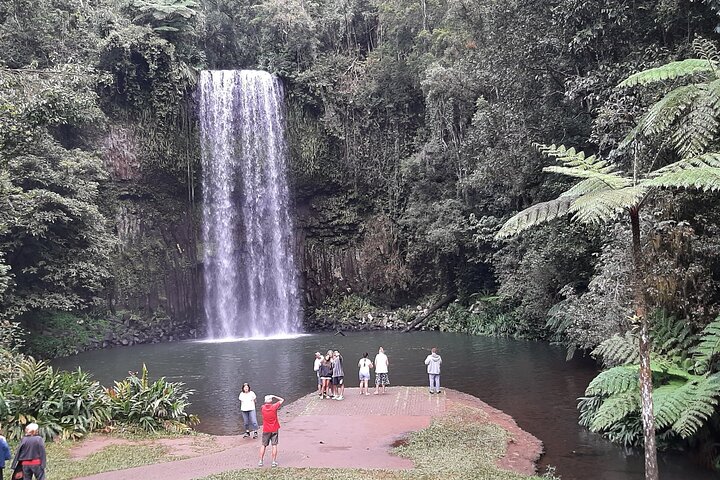 Yungaburra Heritage and Rainforest Tour - Yungaburra Pick up