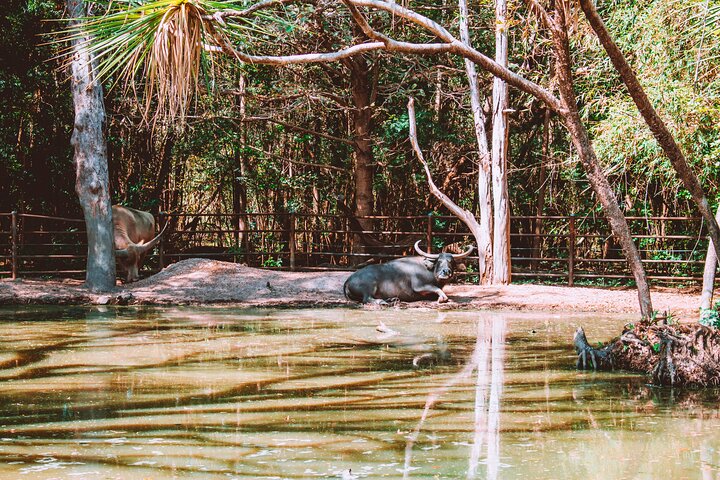 3 Pub Outback Safari in Northern Territory, Australia