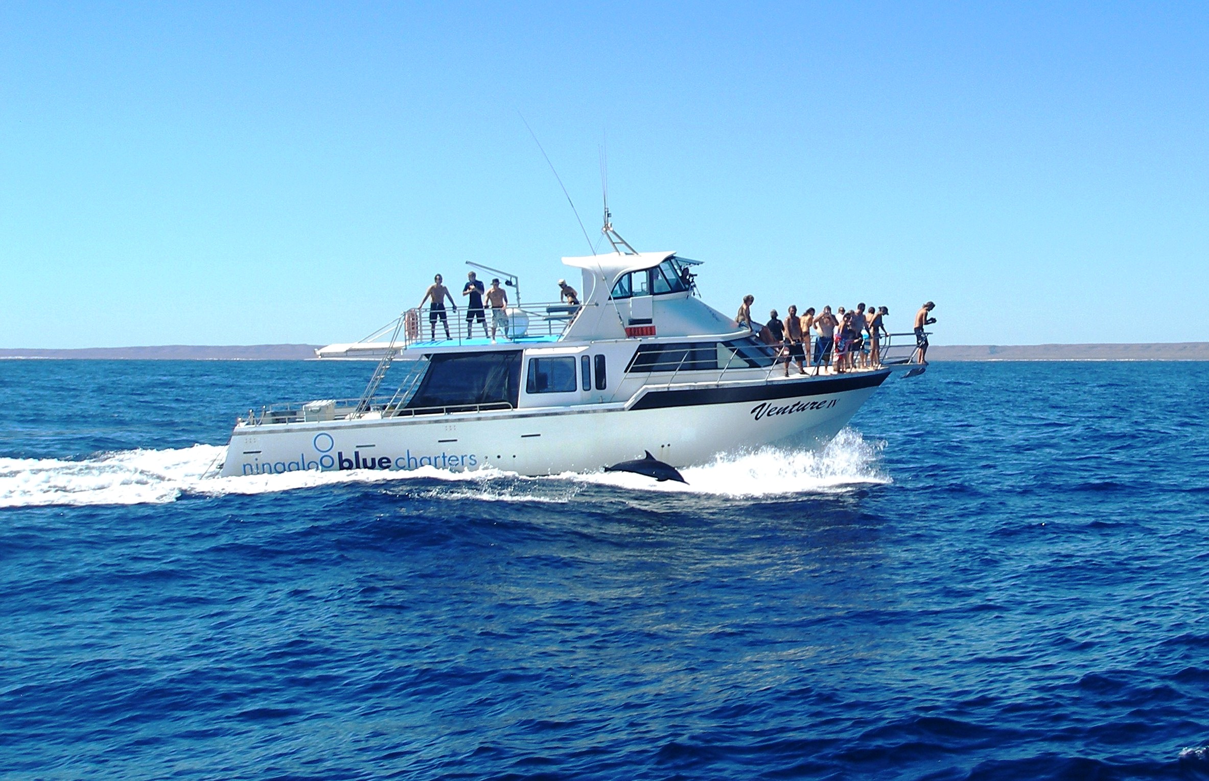 Snorkel and swim with Whale Sharks - the largest fish in the world! Or sit back and enjoy the view with a glass of Champaign from our 2 story vessel.