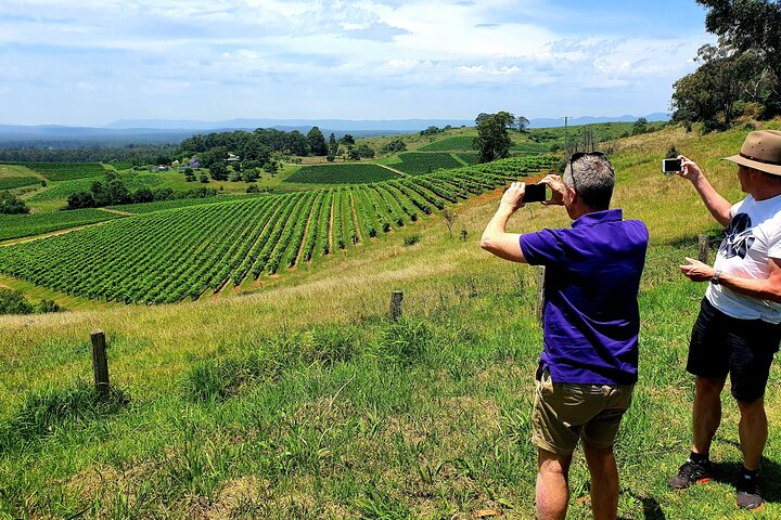 Full day Private Pet Friendly tour of Hunter Valley Wine Country