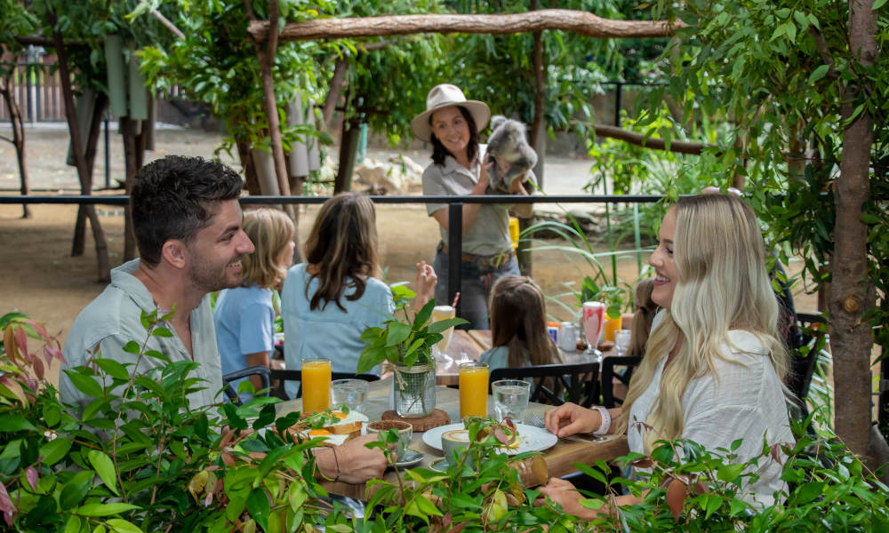 Currumbin Wildlife Sanctuary Family Meal Deal