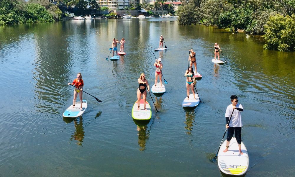 2 Hour Surfers Paradise Stand Up Paddle Board Tour