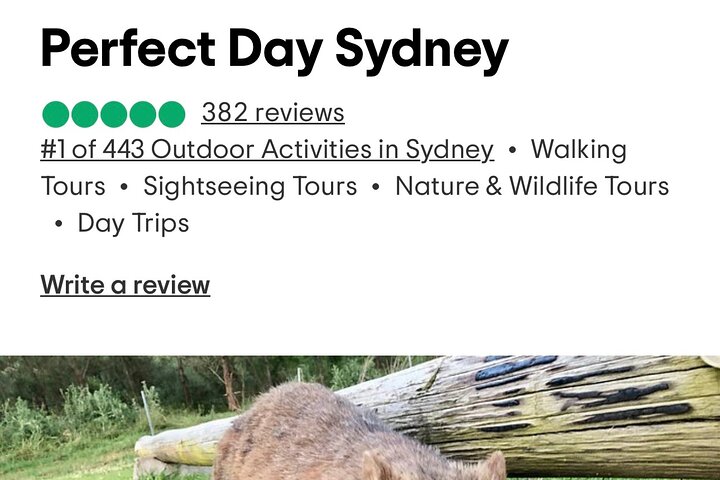 Wild Wombat and Kangaroo Day Tour from Sydney