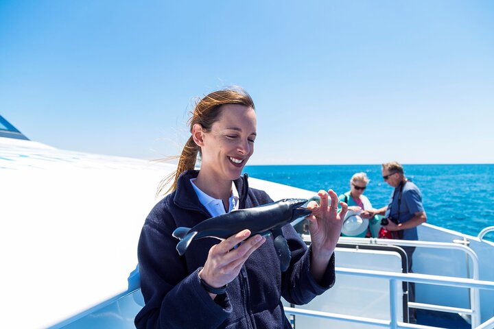 Whale Watching Cruise Fremantle