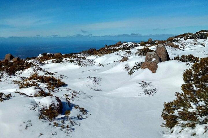 Mt Wellington Ultimate Experience Tour from Hobart