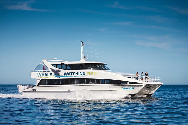 Whale Watching Cruise Fremantle