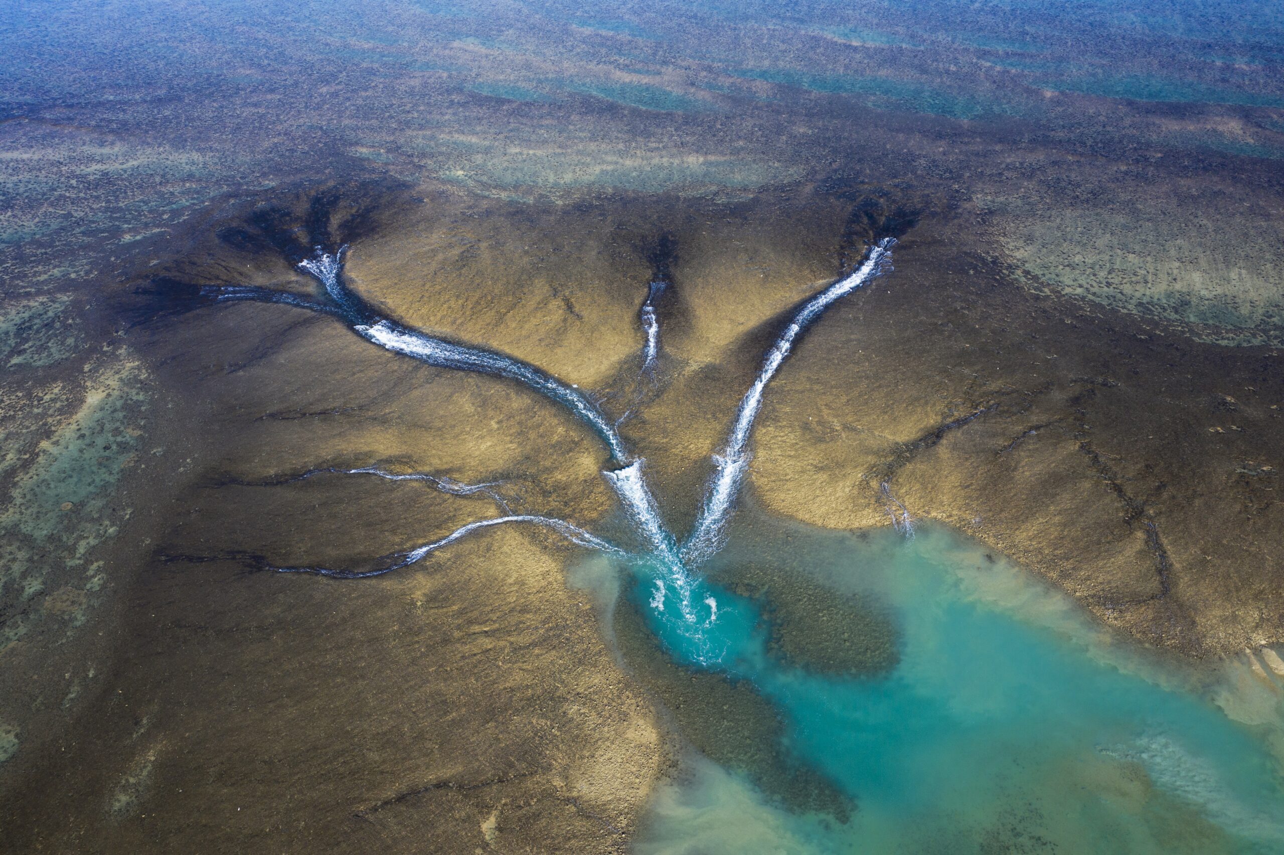 Montgomery Reef & Horizontal Falls Highlights (flyover only) ex Broome